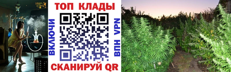Все наркотики Петрозаводск Канабис  СОЛЬ  Меф мяу мяу  COCAIN 
