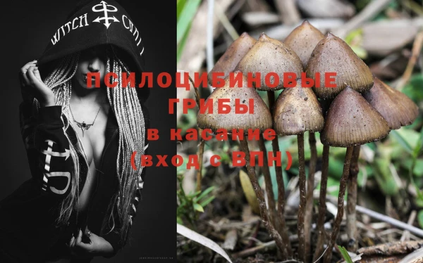 мяу мяу мука Волосово