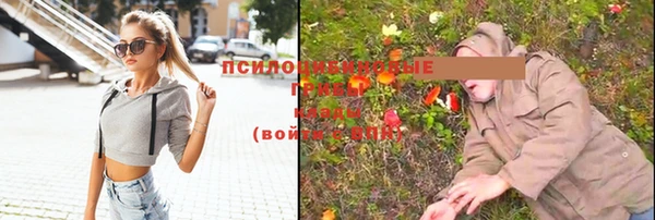 PSILOCYBIN Володарск
